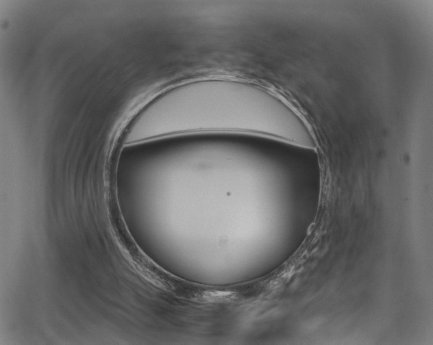 X0000062880055200601131047
