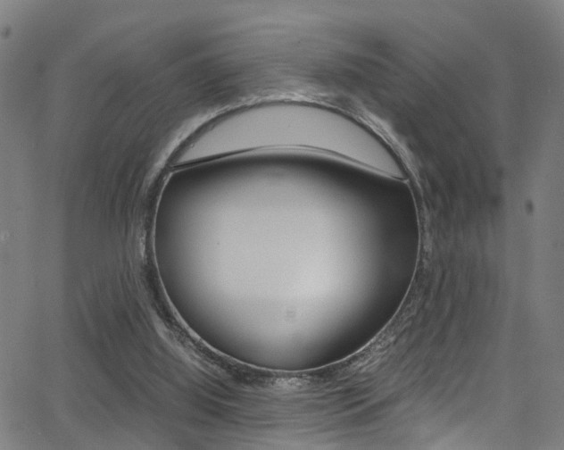 X0000062880060200601131047