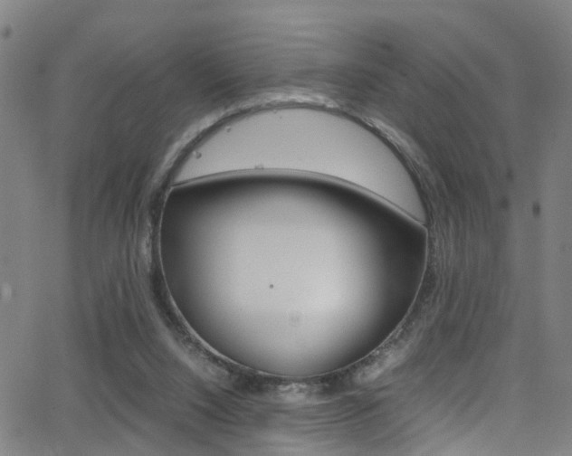 X0000062880064200601131047