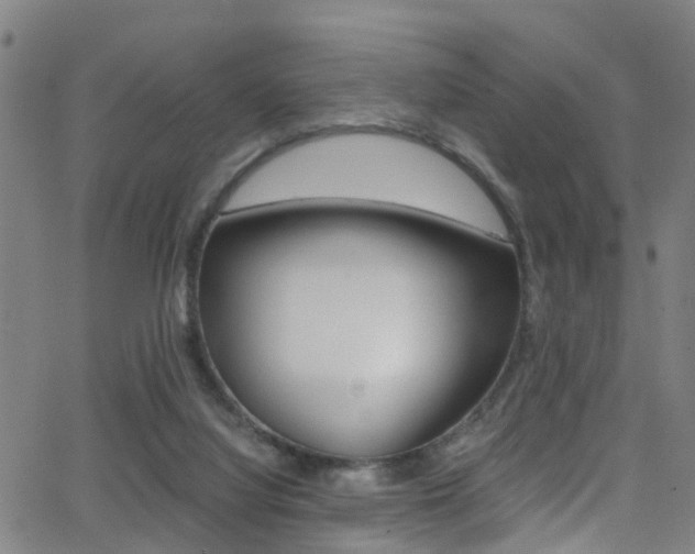 X0000062880068200601131047