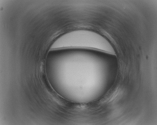 X0000062880071200601131047