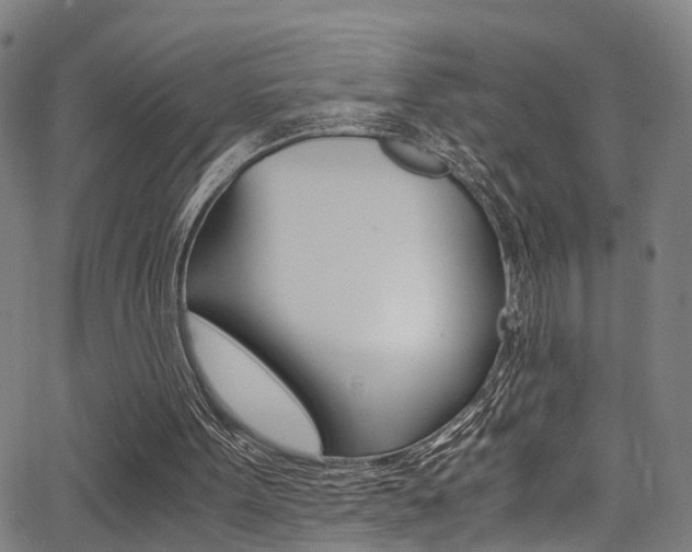 X0000062880099200601131047