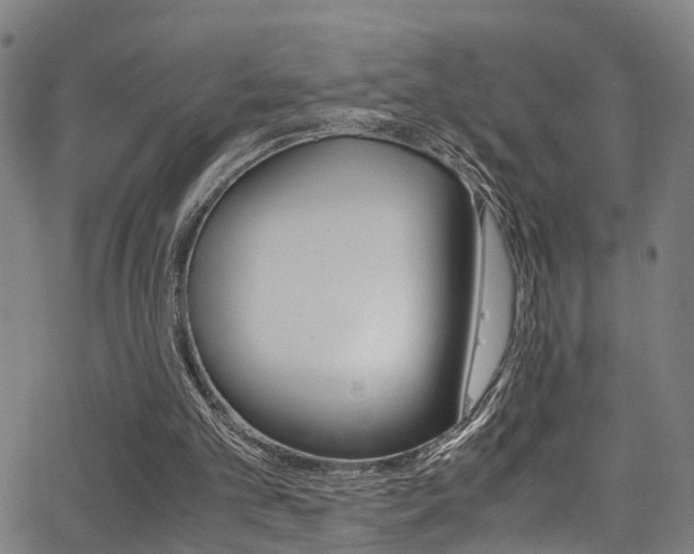 X0000062880101200601131047