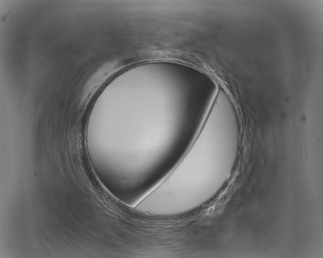 X0000062880103200601131047