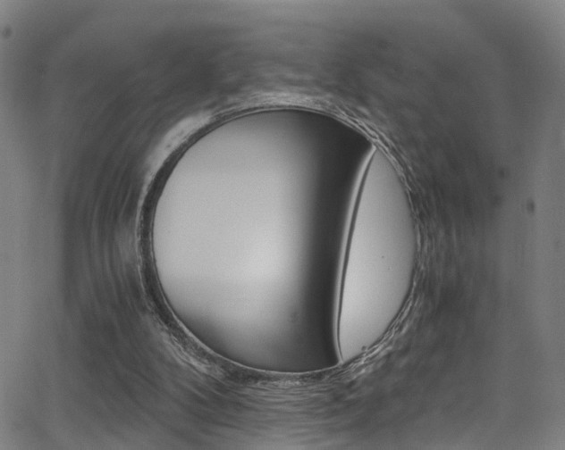 X0000062880104200601131047