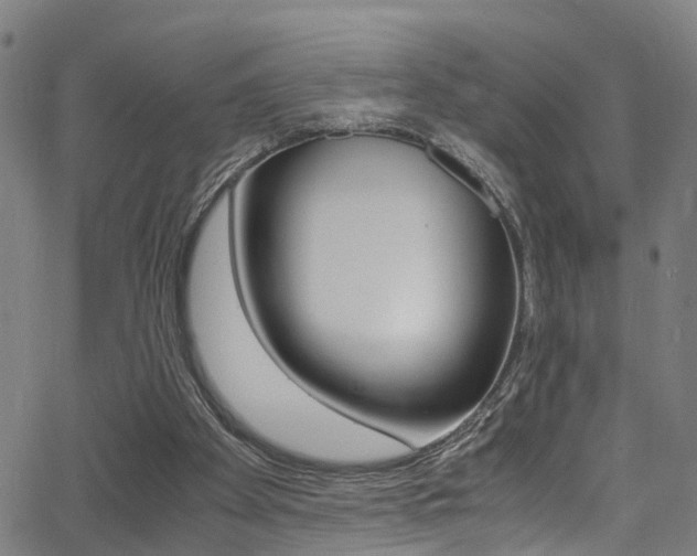 X0000062880105200601131047