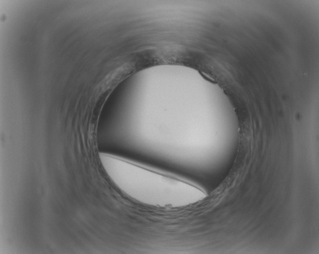 X0000062880139200601131046