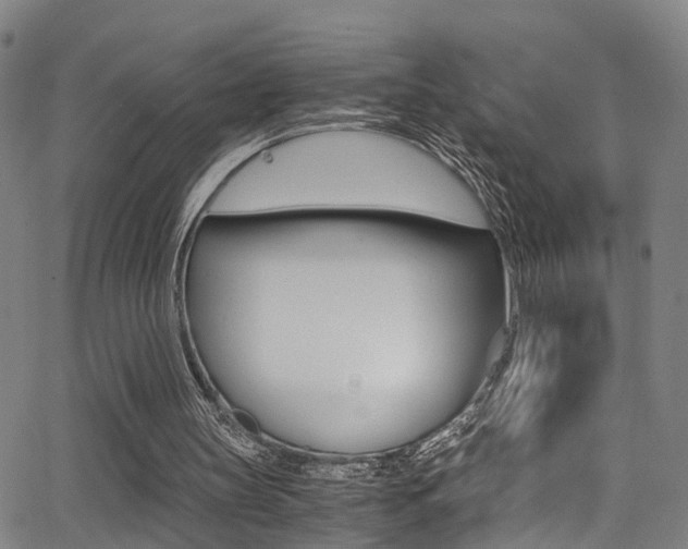X0000062880147200601131046