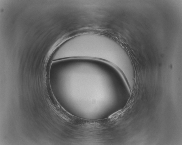 X0000062880150200601131046