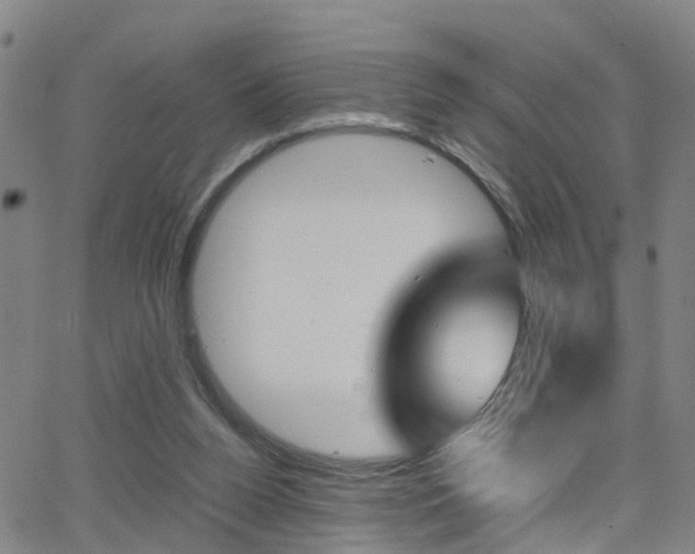 X0000062880160200601131046