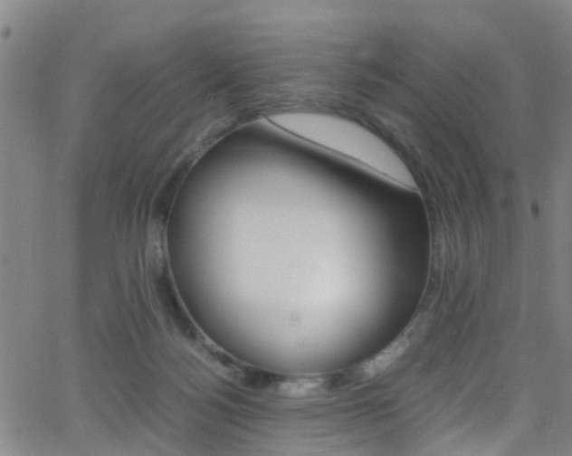 X0000062880172200601131046