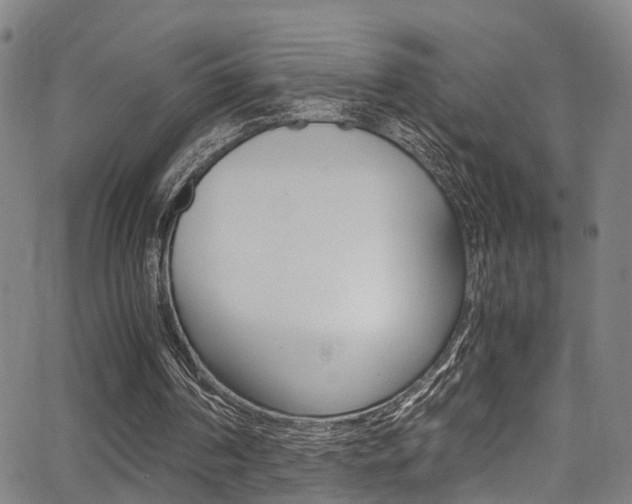 X0000062880194200601131045