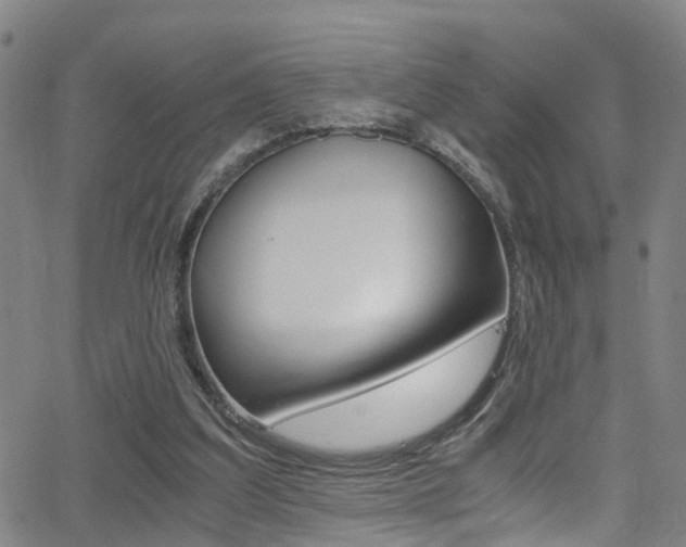 X0000062880203200601131045