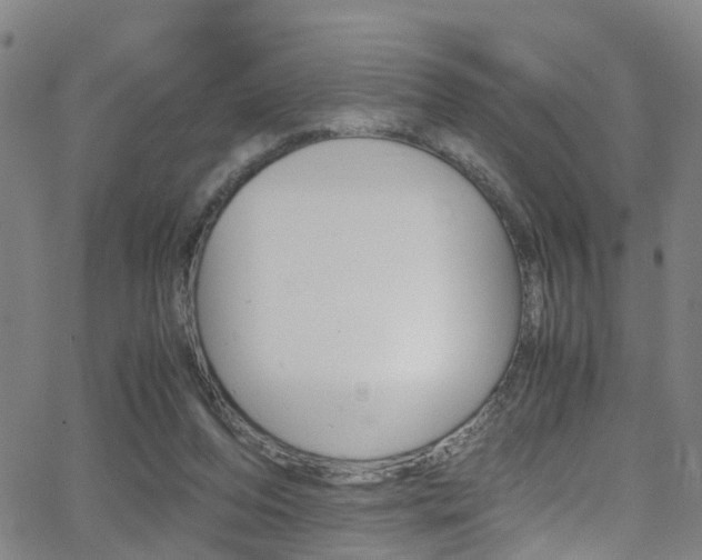 X0000062880208200601131045