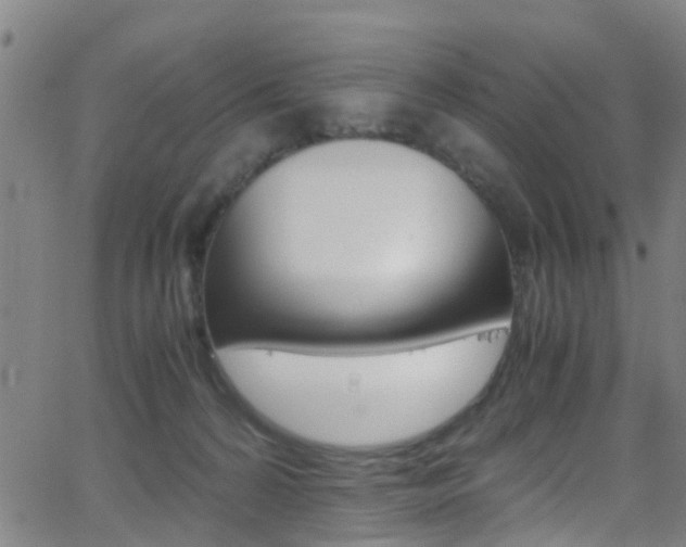 X0000062880224200601131045