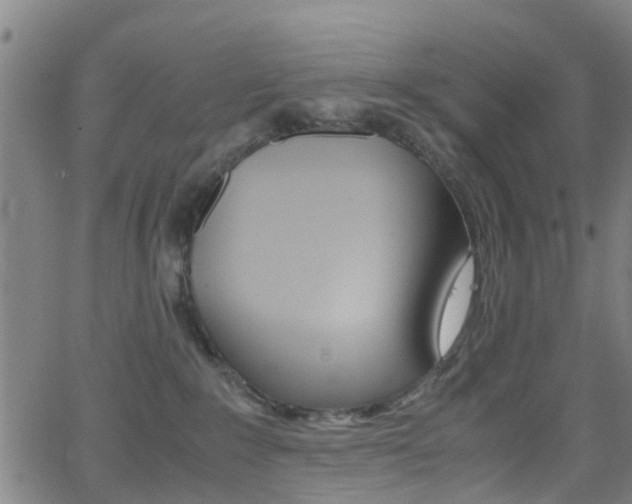 X0000062880235200601131045