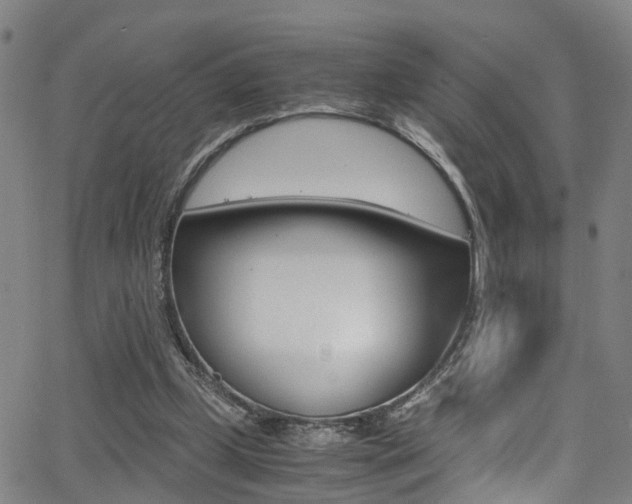 X0000062880249200601131044