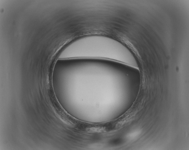 X0000062880251200601131044
