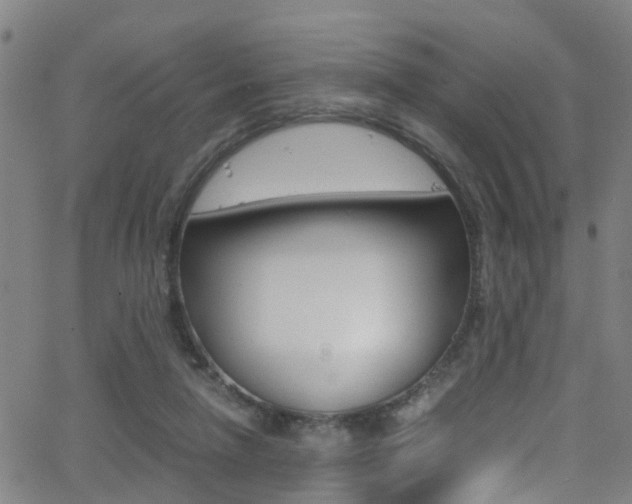 X0000062880258200601131044