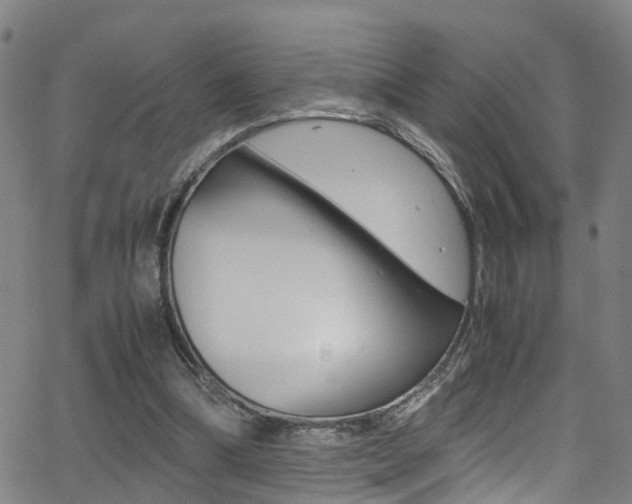 X0000062880298200601131044
