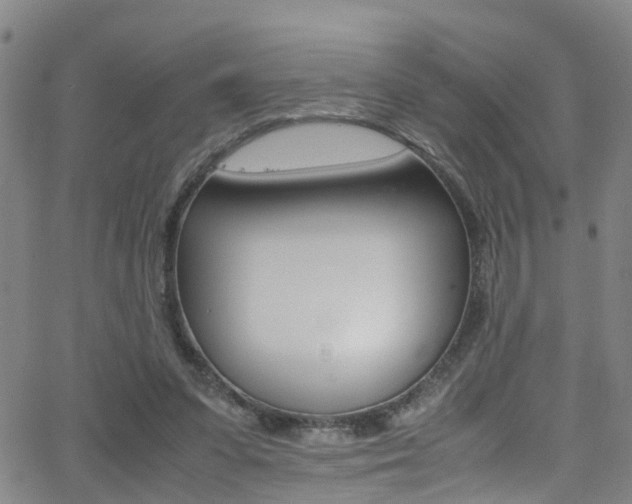 X0000062880303200601131044