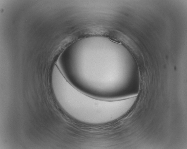 X0000062880309200601131044