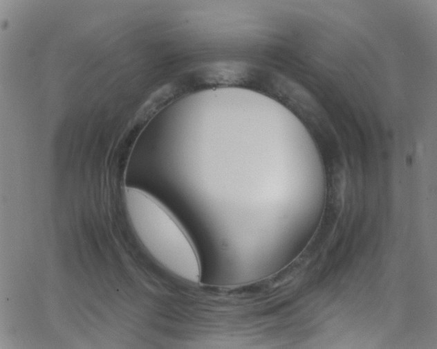X0000062880312200601131043