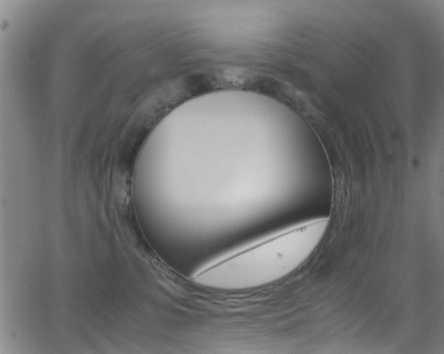 X0000062880331200601131043