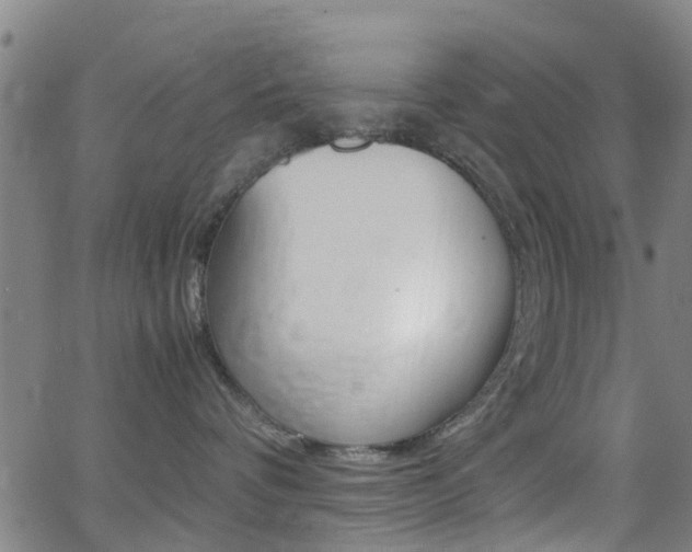 X0000062880336200601131043