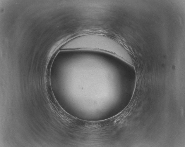 X0000062880340200601131042