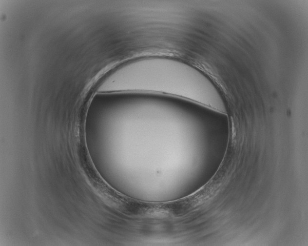 X0000062880348200601131042