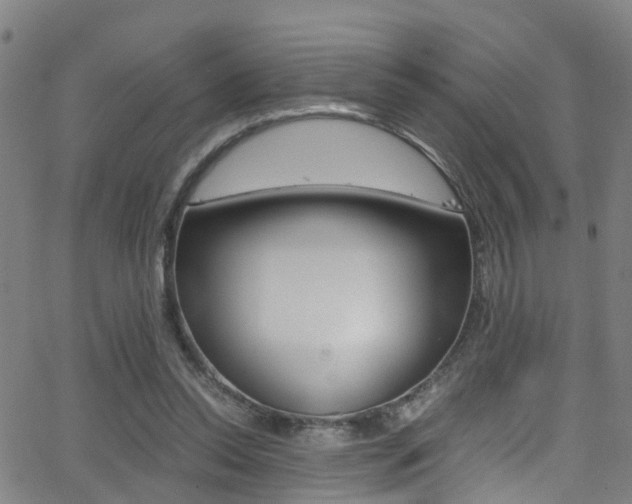 X0000062880350200601131042