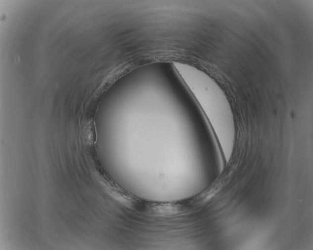 X0000062880383200601131043