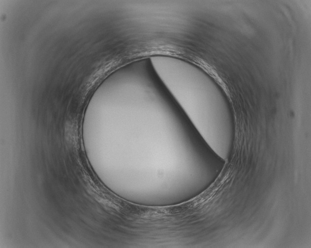 X0000062880386200601131042