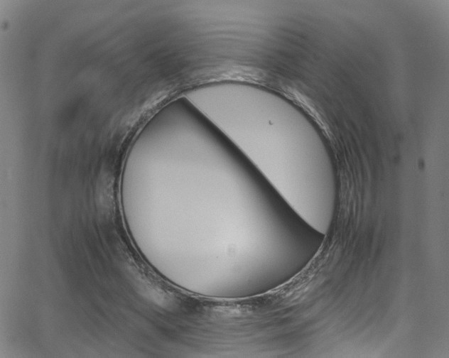 X0000062880394200601131042