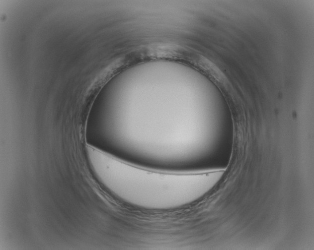 X0000062880401200601131042