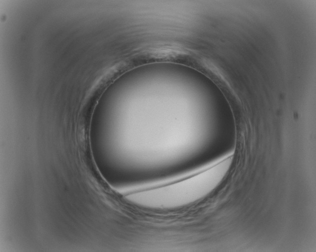 X0000062880407200601131042