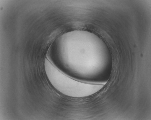 X0000062880432200601131041
