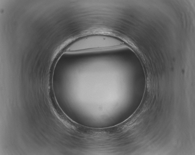 X0000062880438200601131041