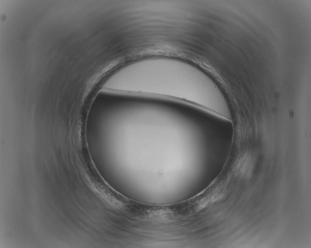 X0000062880446200601131041