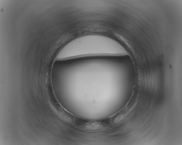 X0000062880451200601131041