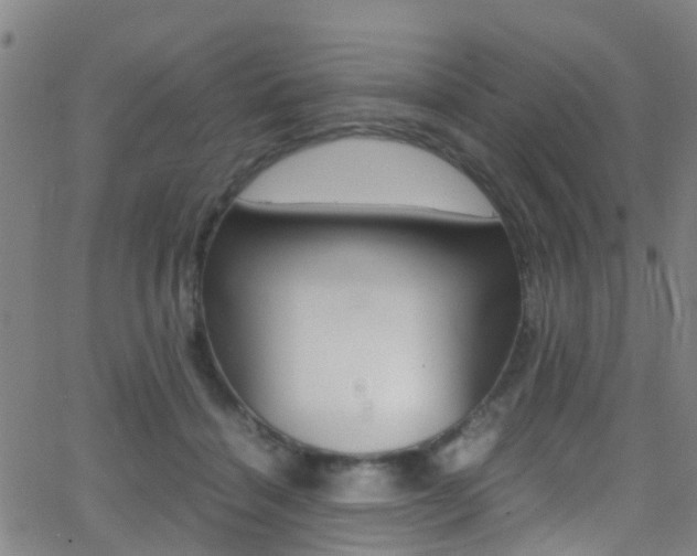X0000062880460200601131041