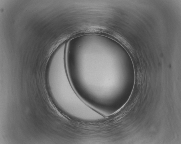 X0000062880485200601131041