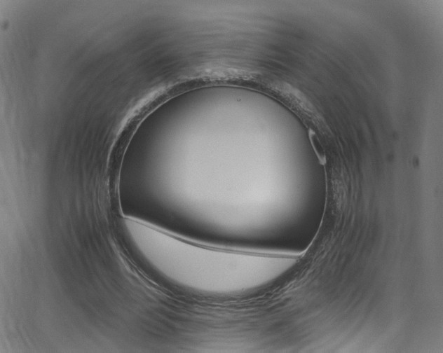 X0000062880488200601131041