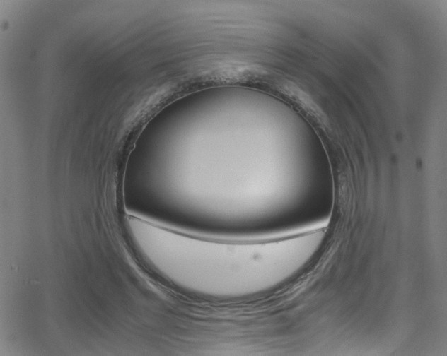X0000062880493200601131040