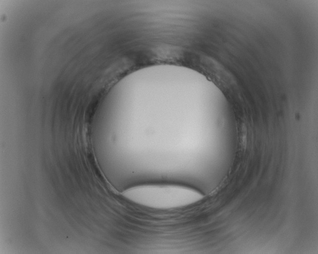 X0000062880514200601131040