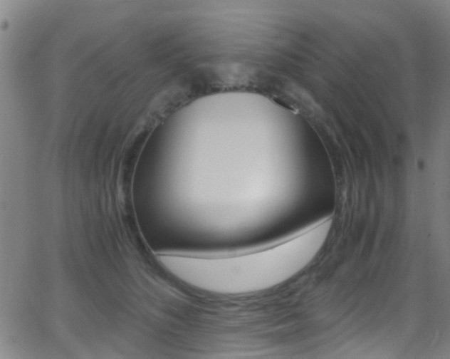 X0000062880516200601131040