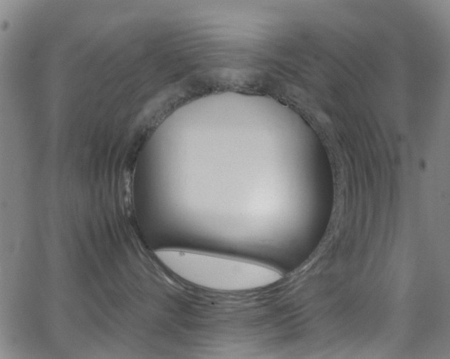 X0000062880528200601131040