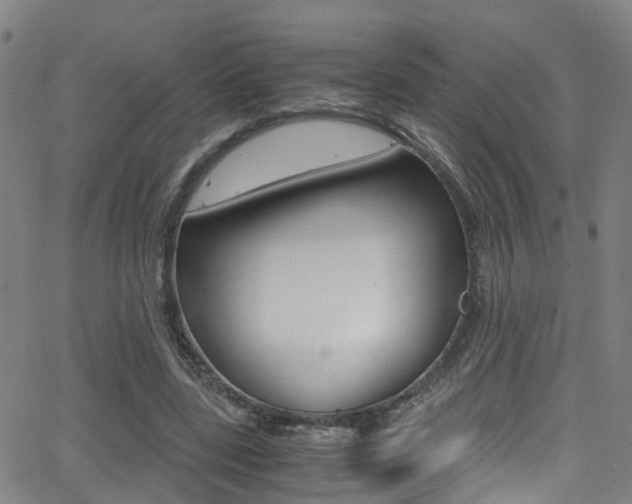 X0000062880539200601131039