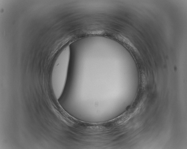 X0000062880541200601131039